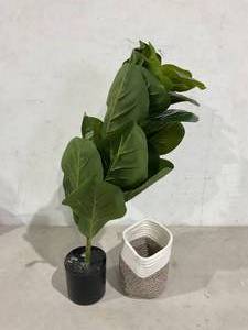 lot 215 image: Artificial 28 Fiddle Leaf Fig Tree with Cotton Rope Basket