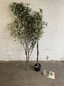 lot 187 image: Phimos 7FT Artificial Olive Tree (82)