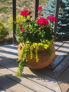 lot 16A image: Stunning Terra Cotta Planter A