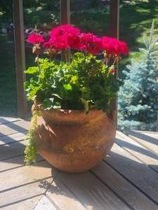 lot 16B image: Stunning Terra Cotta Planter B