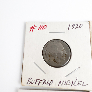 Buffalo Nickel Assortment (16 Different Dates)