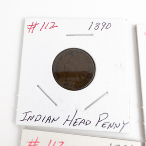 Indian Head Pennies Assortment (15 Different Dates)