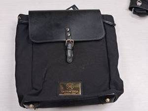 lot 225 image: Caston Luga Handbag