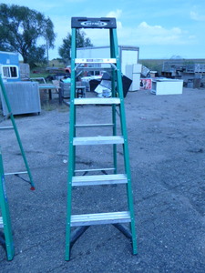 lot 202 image: Werner 6 Foot Ladder