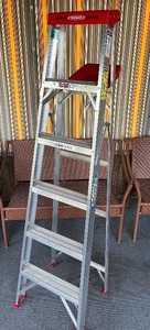 lot 44 image: Garage Utility 6 ft Aluminum 200 lb Max WERNER Step Ladder