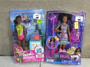 lot 204 image: Set of 2 Barbie You Can Do Anything-Marine Biologist & Big City Big Dreams Singer