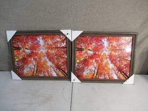 Set of 2 Autumn Framed Canopy Prints