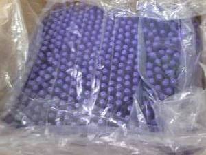 Case of 400 Xodus Medical Black Per...