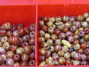 Mixed Lot of Beads and Shells for Making Necklaces and Bracelets
