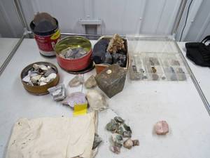 Mixed Lot of Shells and Rocks