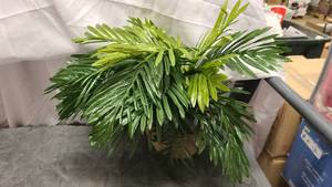 Cute Faux Greenery