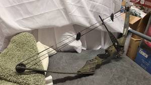 Pulsar Hunting Bow