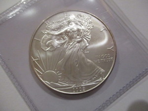 Gorgeous 2009 Silver American Eagle