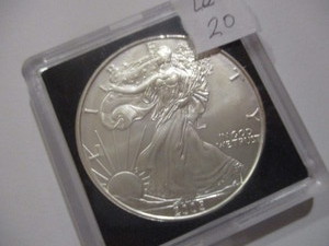 Gorgeous 2005 Silver American Eagle