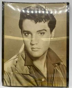 lot 153 image: Vintage ELVIS Sepia Tone Photo Poster & 3 Picture Sleeves 45s