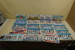 lot 191 image: Assorted License Plates -Minnesota, Texas, Washington, Florida