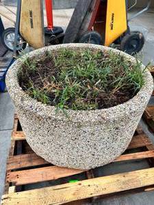 Concrete Planter