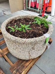 Concrete Planter