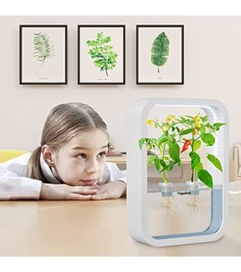 lot 35 image: VegeBox Mini DIY Hydroponic Growing System