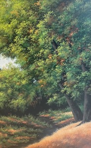lot 93 image: Framed Scenic Print by Rhyan