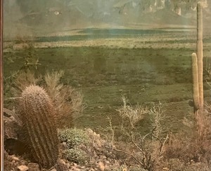lot 96 image: Large Scenic Dessert Photograph Print