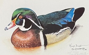 lot 177 image: Wood Duck Limited Edition Signed Print by R.E. Kirchberg