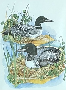 lot 178 image: Loon Motif Framed Print by Lynn Bean