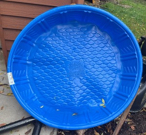 lot 368 image: Sled and Kiddie Pool