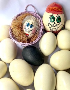 lot 396 image: Lots of Hollow Emu Eggs