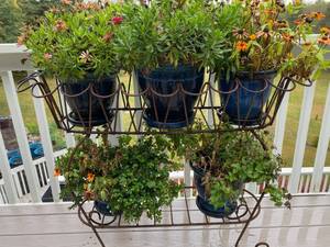 lot 120 image: Ceramic Pots and Iron Rack