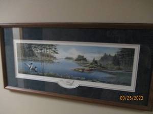lot 126 image: Voice in the Wilderness framed an...