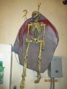 lot 210 image: Halloween skeleton decor...