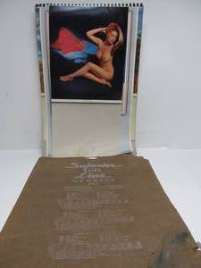 lot 12 image: Large Original Salesman Sample 1956 Pinup Calendar