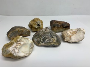 lot 94 image: Lot of 6 Larger Size Assorted Agates etc