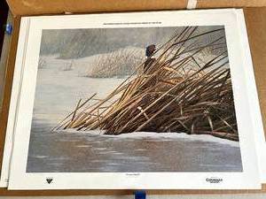Frozen Marsh by Gregory Nelson 14751800