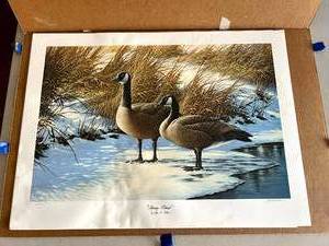 Spring Ritual by John S Wilson 24092500