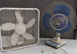 lot 106 image: FANS
