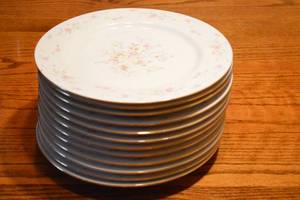 12ct China Dinner Plates