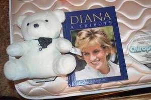 Princess Diana Book  Teddy Bear
