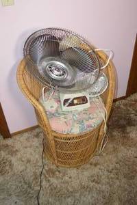 2 Fans  Chair