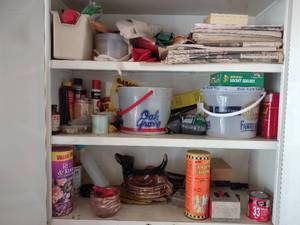 lot 21 image: All Contents of These Shelves