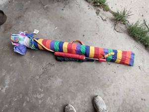 lot 40 image: Beach Umbrella and Other Umbrellas