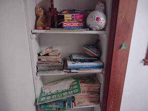 lot 57 image: Contents of Closet and Dr. Suess Books