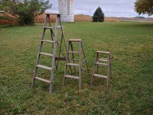 lot 162 image: 3 Step Ladders