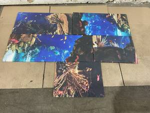 lot 229 image: Ocean Fish and Coral Reef 5 pc Canvas Art