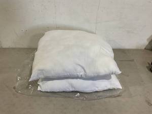 lot 149 image: LOT OF 2- 20 Throw Pillow Inserts