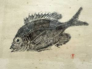 lot 179 image: A Pair of Japanese Fish Prints, Signed and Sealed