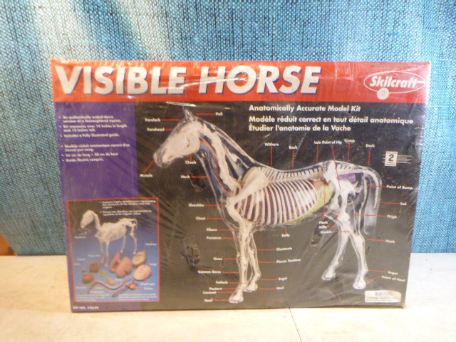 Skilcraft Visible Horse Anatomy Model Kit for Sale in Kimball, MN