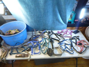 lot 19 image: Horse Gear