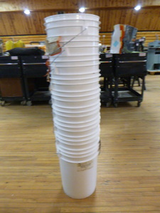 lot 52 image: 9 Buckets
